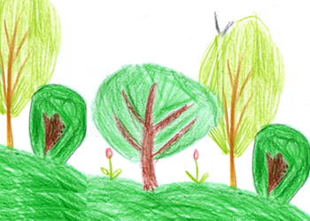 Childhood Drawing of Planting Trees